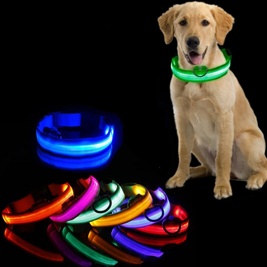 Glowing LED Dog Collar