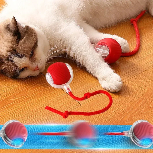 Red crazy ball for cats