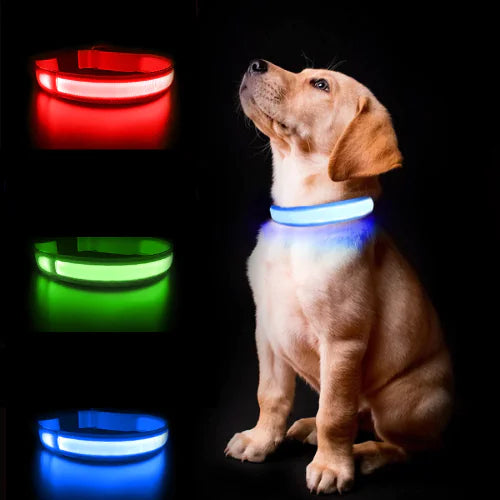 Luminous AirTag Holder Collar for Dogs